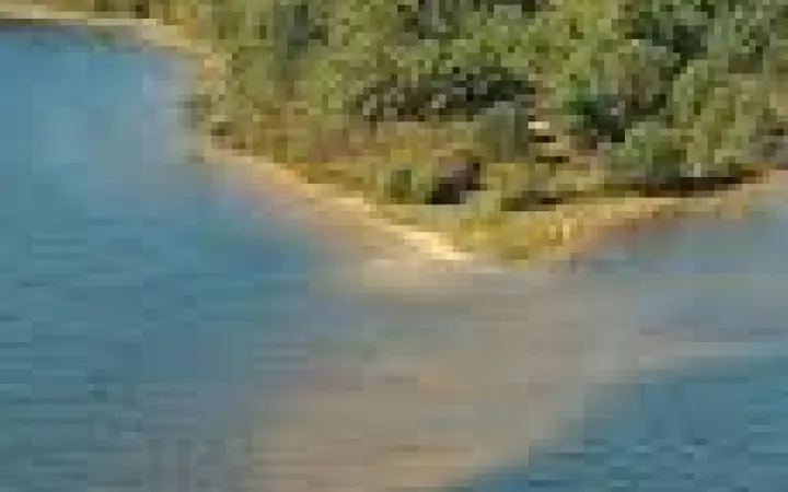 Pointe du Bernos à Lacanau, au bord du lac