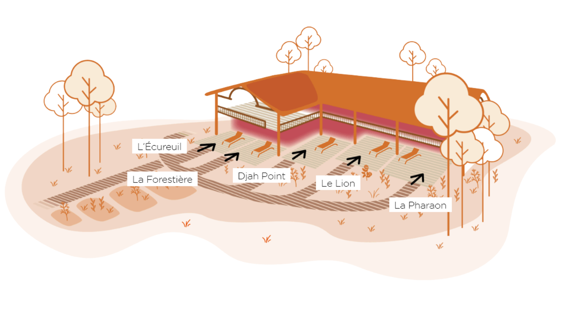 Plan illustré des cinq gîtes : L'Écureuil, La Forestière, Djah Point, Le Lion, Le Pharaon
