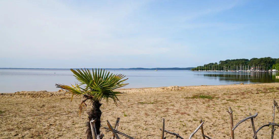 The lake of Lacanau, twelve minutes by bike, for Sunday