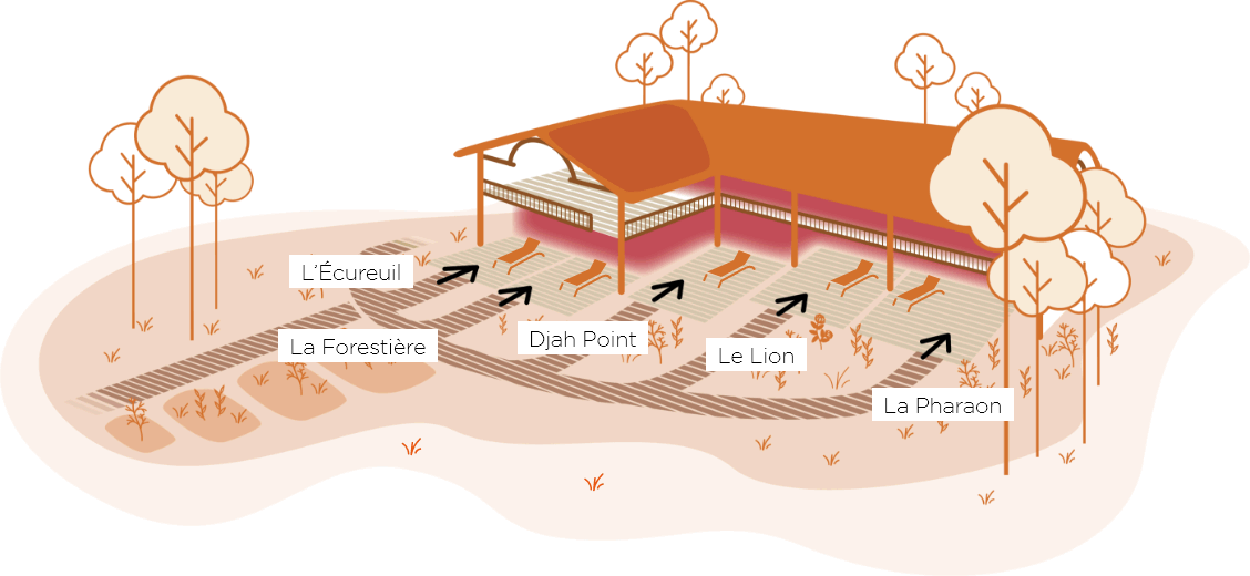 Plan du site