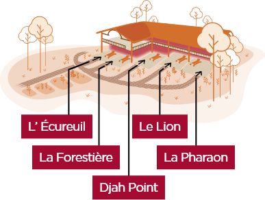 Plan du site